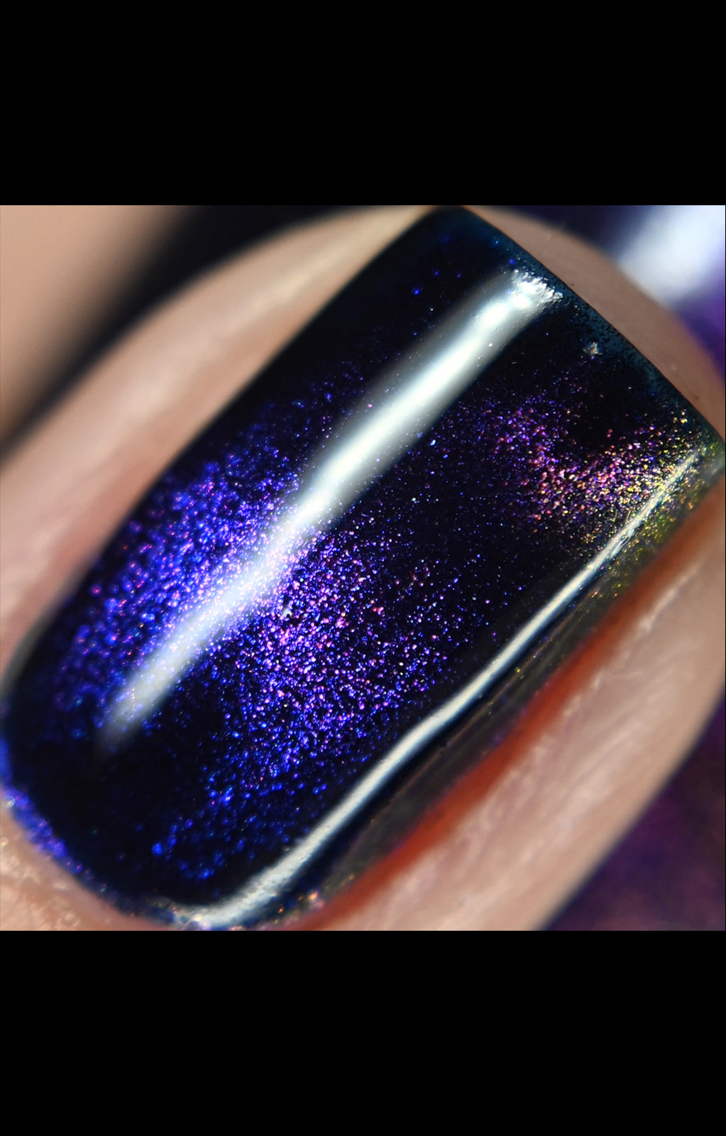 PRE-ORDER | Nightshade