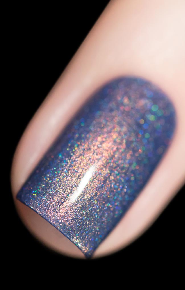 The Cat's Meow - Shimmer