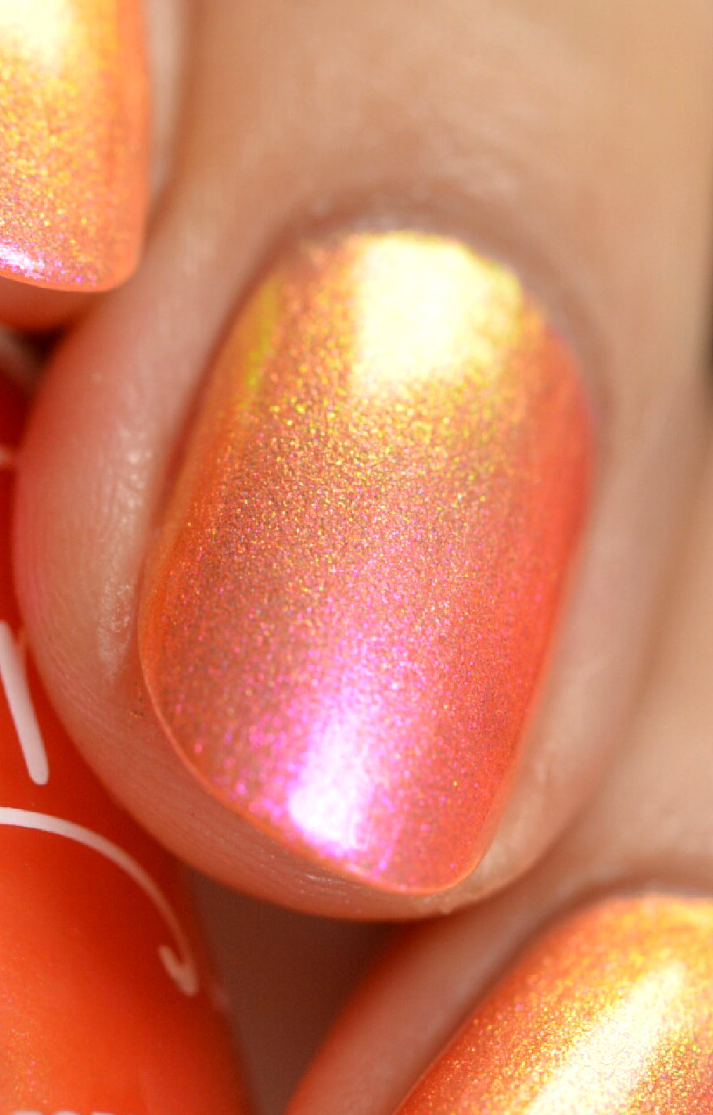 Moon Sugar