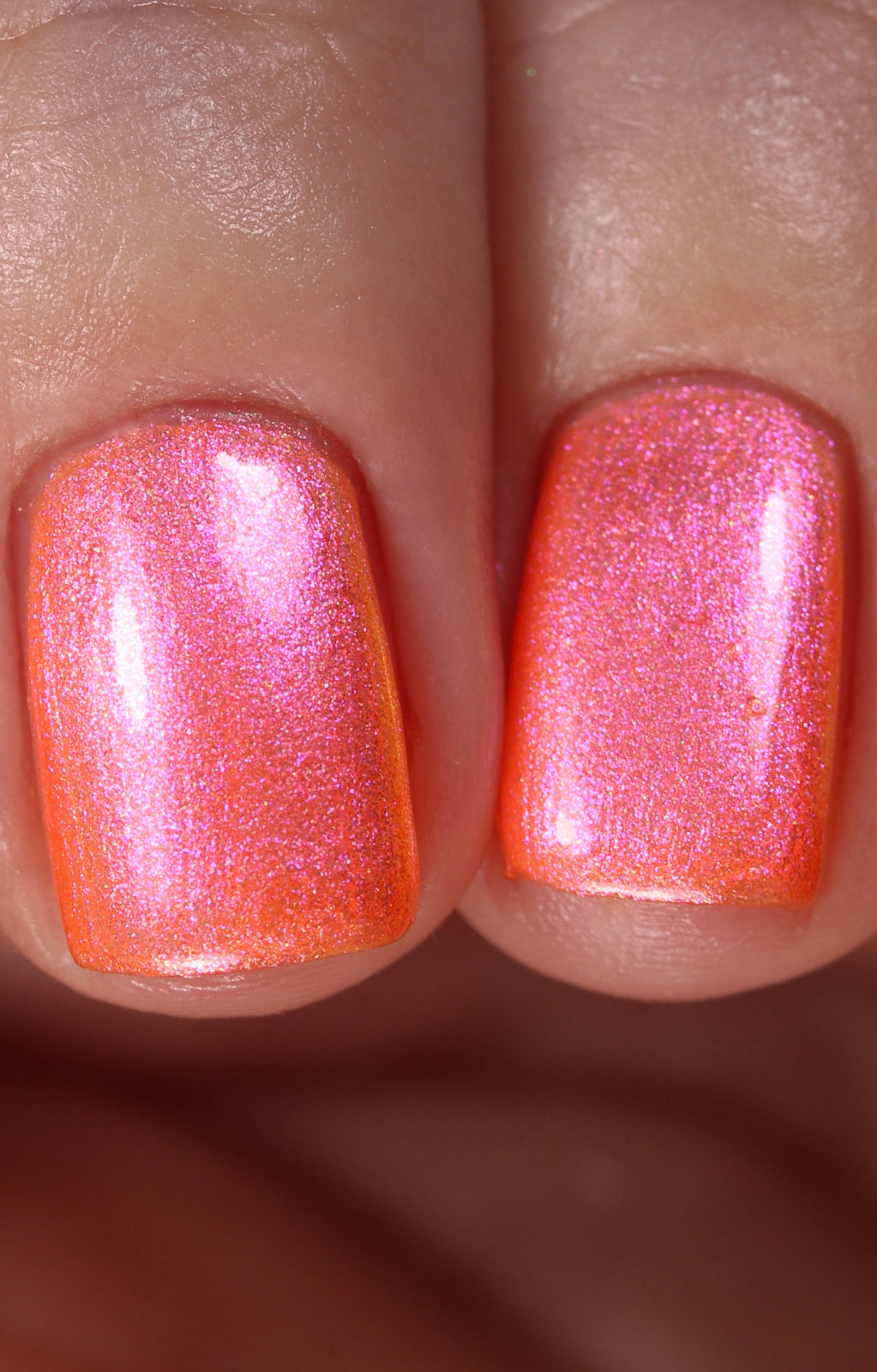 Moon Sugar