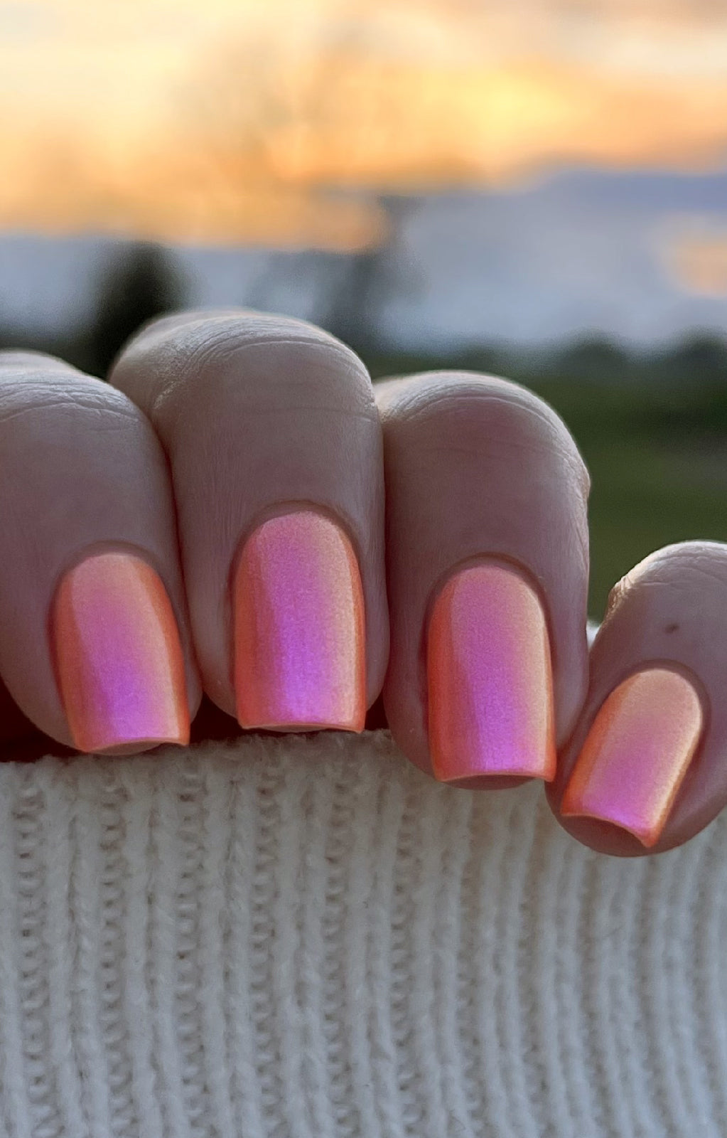 Moon Sugar