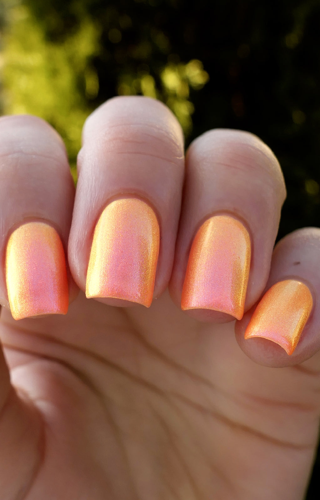 Moon Sugar